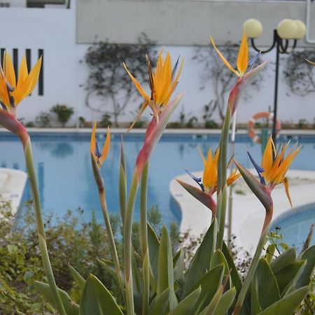 Apartamento Proximo Da Marina Vilamoura C/Piscina E Estacionamento Esterno foto
