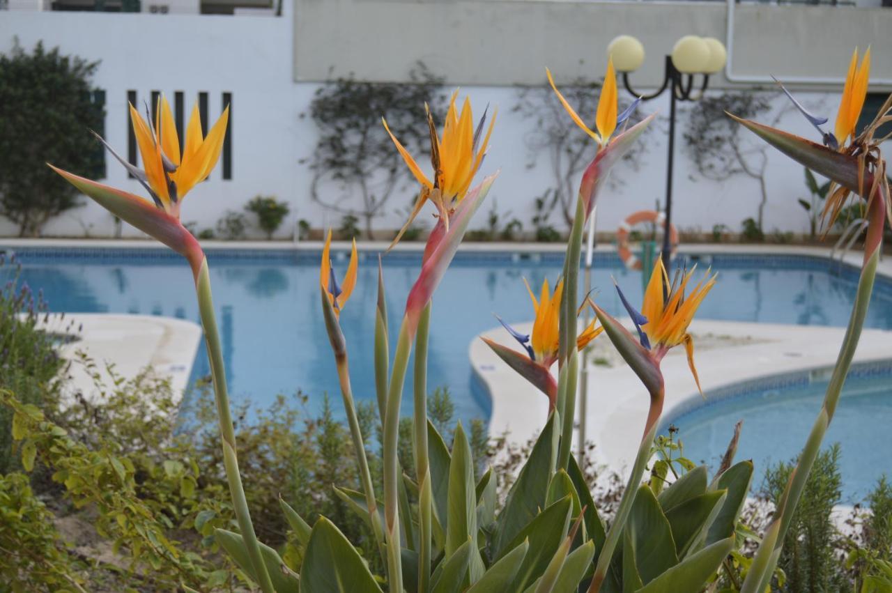 Apartamento Proximo Da Marina Vilamoura C/Piscina E Estacionamento Esterno foto